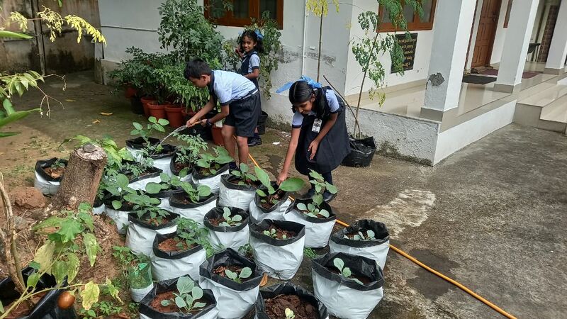 പ്രമാണം:26253-garden25-(2).jpg