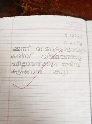 29365-IDK-KUNJ-JUWEL MARIYA.jpeg