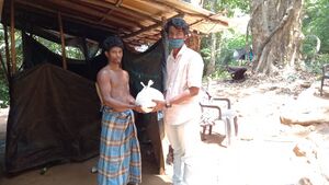 37001 kadumkadalum3.jpeg