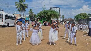 44223 shishu pro 2.jpg