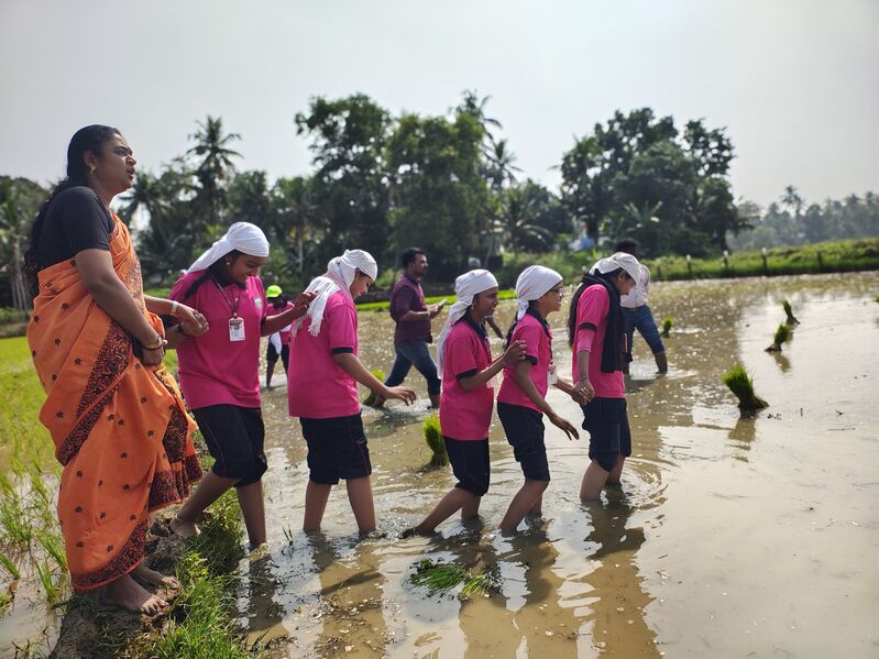 പ്രമാണം:44244 ssss nelpadam 2026 6.jpg