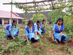 Guides in garden.jpg