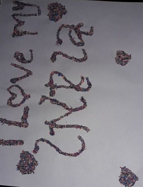 പ്രമാണം:Rasha fathima.jpeg