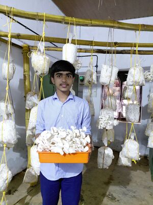 16064 Kuttikarshakan 2.jpg