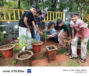 17334 Environment day.jpg