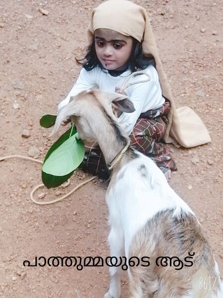 പ്രമാണം:18402 12.jpg