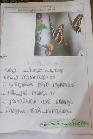 18638-MLP-KUNj-Hadi CK.jpg