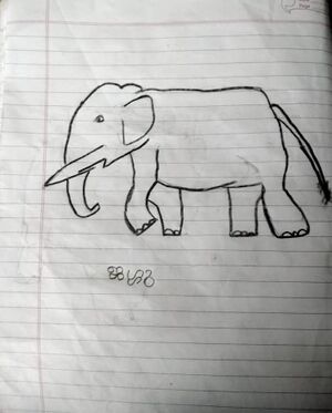 19978-MLP-KUNJ-HAWWA FATHIMA.jpg