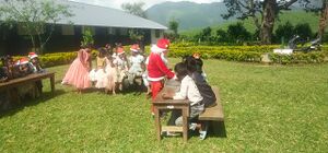 30327 celebration .jpg