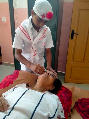 33056 nov24 2022 3.jpeg