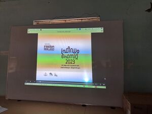 35028 freedom fest.jpeg