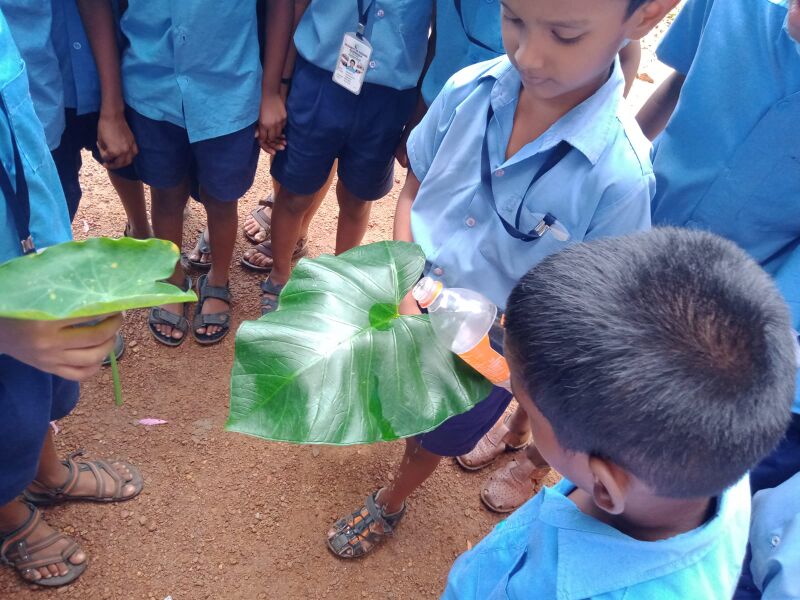 പ്രമാണം:37342 classactivity.jpg