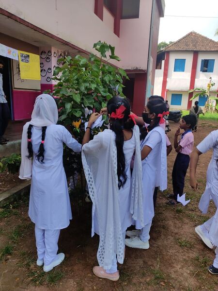 പ്രമാണം:39055 jrc03.jpeg