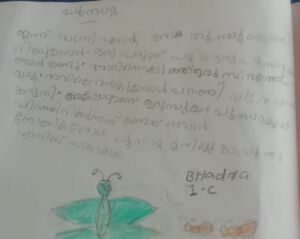 40229-KLM-KUNJ-BHADRA (4).jpg