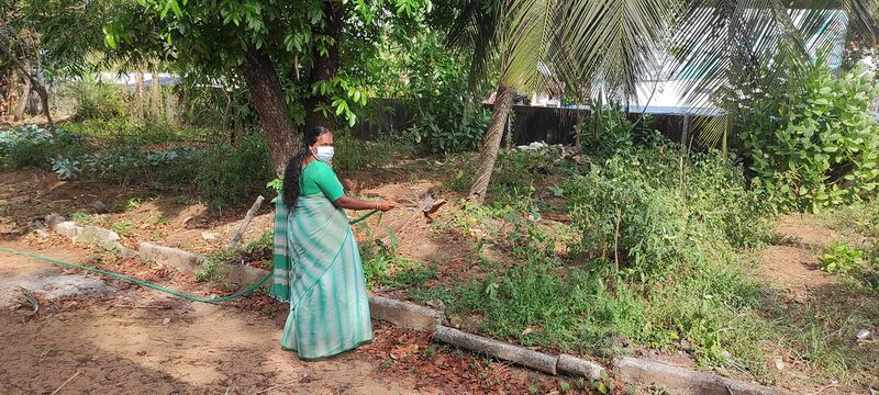 പ്രമാണം:41069 veg11.jpg