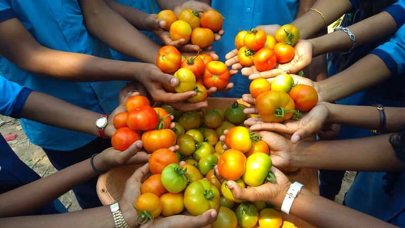 പ്രമാണം:42021 16234.jpg