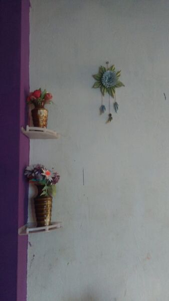 പ്രമാണം:44050 eco 30.jpeg