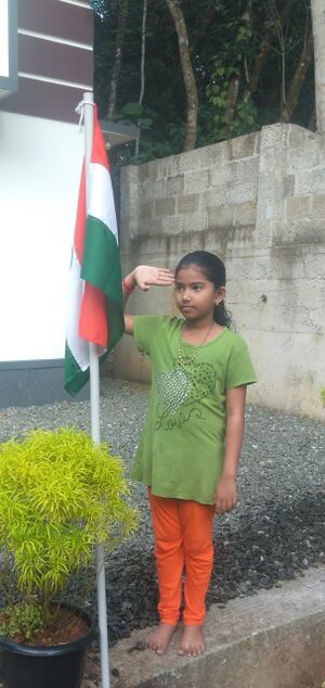 44055 Azadiflagl.jpeg