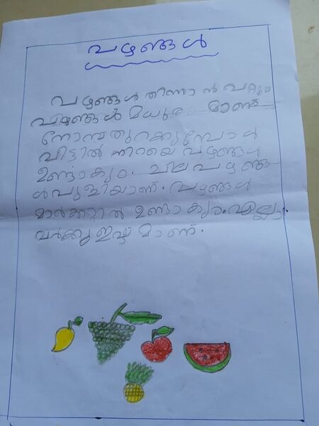 പ്രമാണം:48204-MLP-KUNJ-SHEZA FATHIMA.jpeg