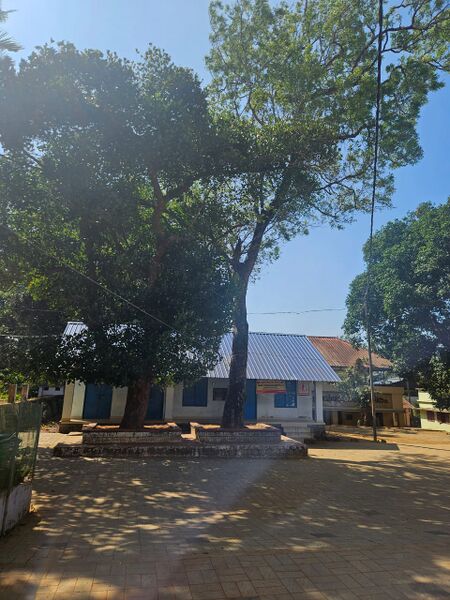 പ്രമാണം:N C C Office.jpeg