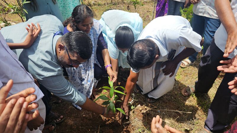 പ്രമാണം:Plant1.jpg