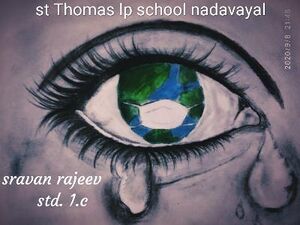 Sravan rajeev 1 c.jpg