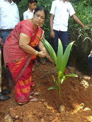 12060 nalikeradinam 6.JPG