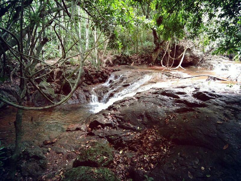 പ്രമാണം:13094 Kanayi kanam waterfall1.jpg