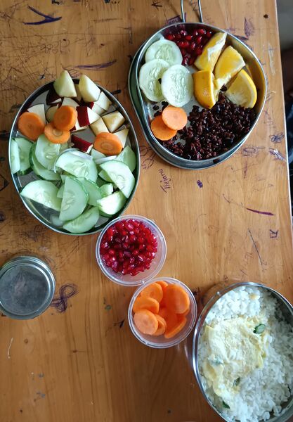 പ്രമാണം:16041 Balanced diet9 2025 Aug.jpg