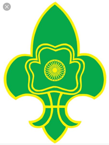 പ്രമാണം:19051 scout.jpg