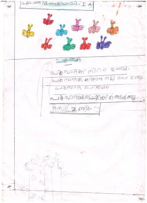 19767-MLP-KUNJU FATHIMA NASHVA T 1A 001.jpg