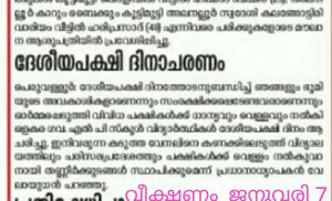 19833 birds day 2.jpg