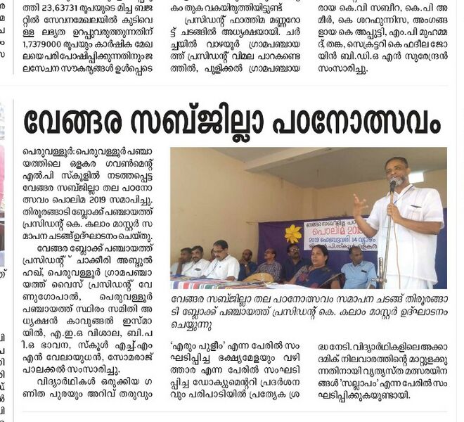 പ്രമാണം:19833 paddadikall123.jpg