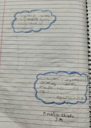 22422-TSR-KUNJ-AMELIA SHINTO.jpg