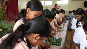 23008-Little kites21.jpg