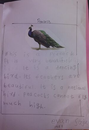 23332-TSR-KUNJ-EVAN SAJU.jpg