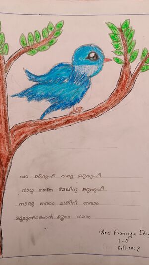 25855-EKM-KUNJ-Ann Franciya Denny.jpg