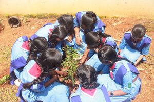 28041 Environment Day 12.jpg