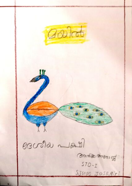 പ്രമാണം:29403-IDK-KUNJ-ALKHA ANOJ AUGUSTINE.jpg