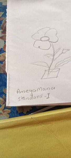 പ്രമാണം:31049-KTM-KUNJ-AMEYA MANU.jpg