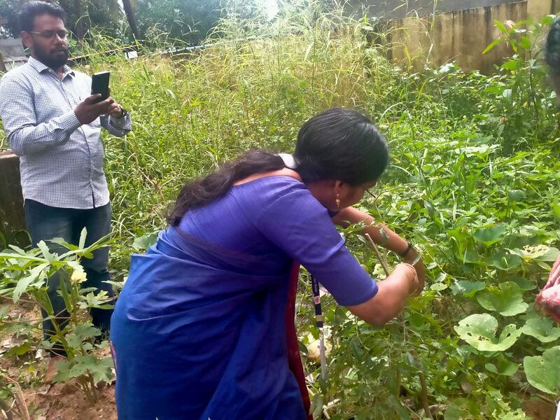 പ്രമാണം:42015 vegitable garden.jpg