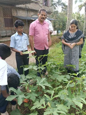 47037 ORGANIC FARMING 2.jpg