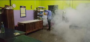 BS21 MLP 18508 5.jpg