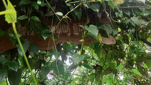 Biodiversity Park Entry Gate.jpg