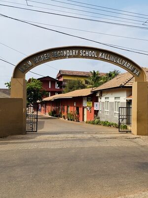 IMG 3944.resized.jpeg