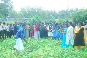 Kakkat pachakari4.jpeg