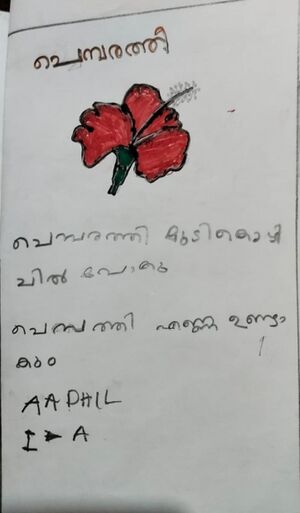 13757-KNR-KUNJ-AADIL ABDULLA P P.jpg