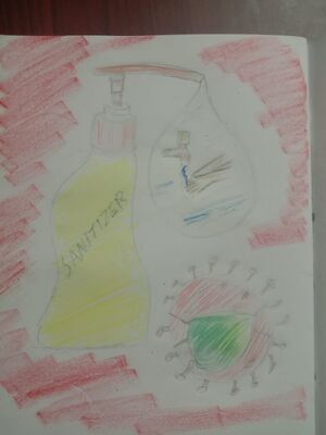 18204-corona hairsha2a.jpg