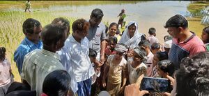 19833-Nellu start 2022 23 5.jpg