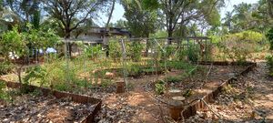 24071-SCHOOL PREMICES6 aushath.jpeg